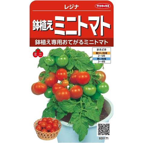 サカタのタネ 実咲野菜0171 鉢植えミニトマト レジナ 00920171 20230410024215 00300tnkストア 通販