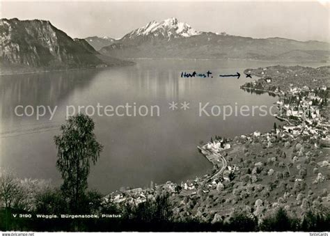 Lu Luzern Weggis Vierwaldstaettersee Mit Buergenstock Und