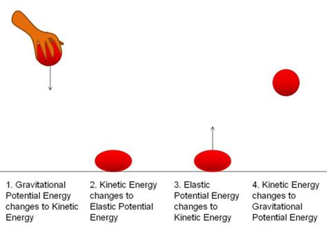 On the Rebound: The Height Limits and Linearity of Bouncy Balls | Science Project