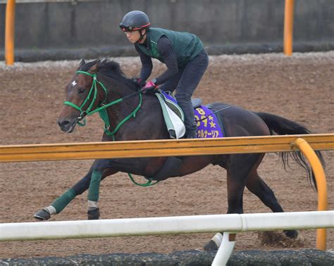 【宝塚記念】サートゥルナーリア気配上々 しっかり加速！1f12秒0 競馬ニュース Netkeiba