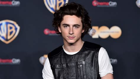 Timoth E Chalamet Reacts To Viral Video Of His Doppelg Nger Voguing