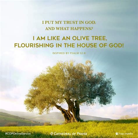 Psalm 528 I Am Like An Olive Tree Flourishing In The House Of God