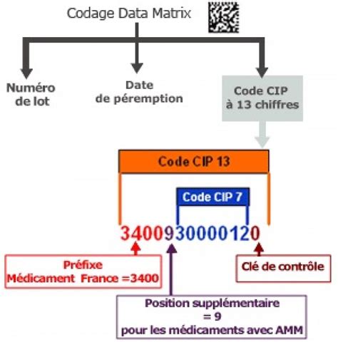 Codification Et Tra Abilit Des M Dicaments Ansm