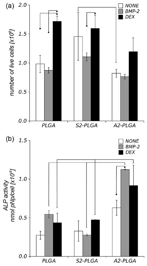 A Viability And B Alp Activity Of Human Bmscs After A Seven Day