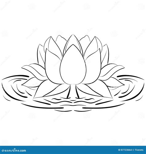 Lotus Flower Outline Designs