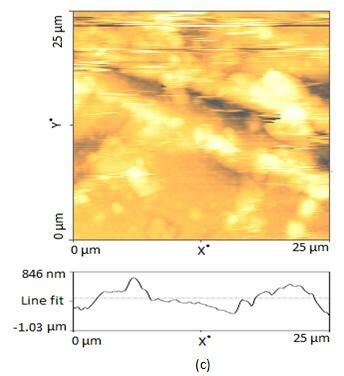 2D AFM Images Of Surface A Polished Metal B Mild Steel Immersed In