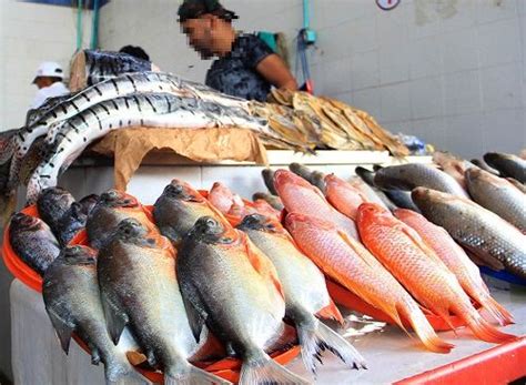 Colombia Cuenta Con Mil Toneladas De Pescado Para La Semana Santa