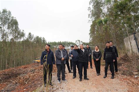 自治区自然资源厅到防城港市调研 指导耕地保护工作 全市工作信息 广西防城港市自然资源局网站