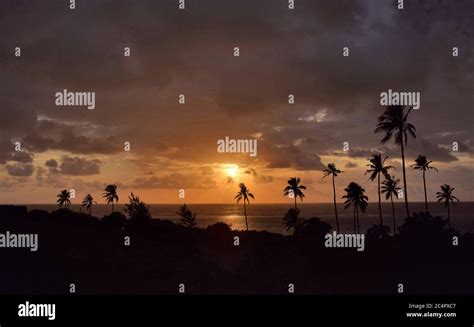 Sunset view on a beach in Mombasa, Kenya Stock Photo - Alamy