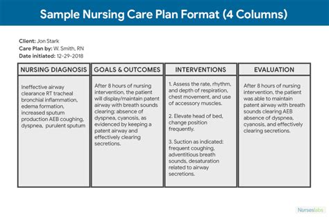 1 000 Nursing Care Plans The Ultimate Guide And List For Free