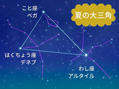 夏の星座と夏の大三角の検索結果 Yahoo きっず検索