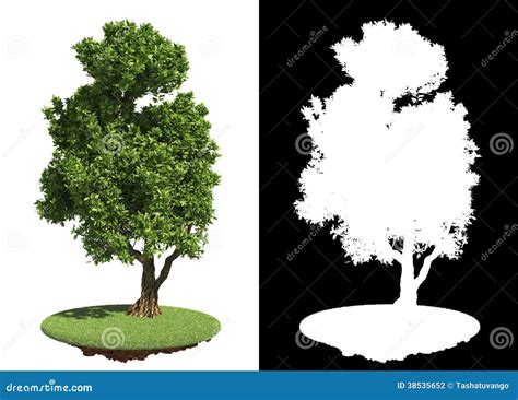 Green Tree With Detail Raster Mask Stock Illustration Illustration