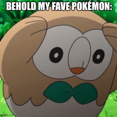 Rowlet Meme Template Imgflip