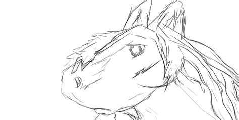 Horse Sketch By Masteraar On Deviantart