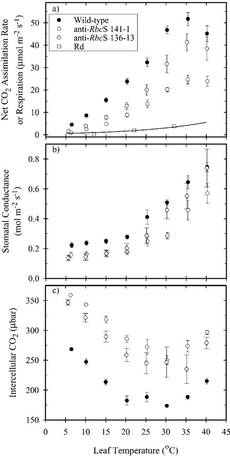 The Temperature Responses Of The Rates Of Net Co Assimilation And Rd