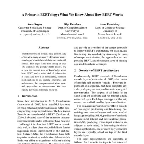 A Primer In Bertology What We Know About How Bert Works Acl Anthology