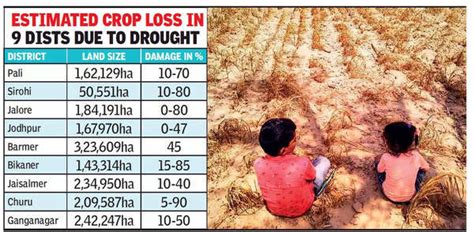 Rajasthan Nearly 20 Lakh Hectares Of Kharif Crops Hit By Flood And