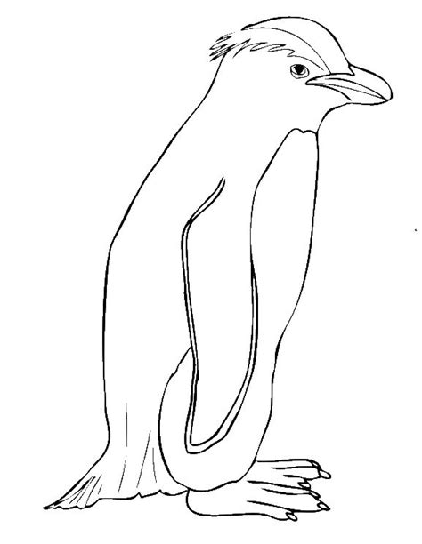 64 best images about Endangered Species art lessons on Pinterest