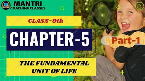 Class 9th SCIENCE CHAPTER 5 Part 1 YouTube