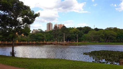 Ciudad del Este tiene una enorme riqueza faunística mediante el Lago de