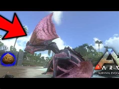 C Mo Tamear Un Tapejara En Ark Mobile Youtube