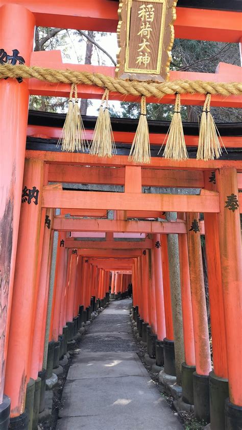 京都トレイル 稲荷山・今熊野山・清閑寺山・清水山・東山・神明山 ジロンさんの京都一周トレイルの活動データ Yamap ヤマップ