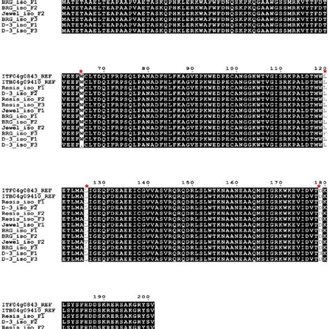 Deduced Amino Acid Sequence Alignment Of Predicted IbCBP Sequences