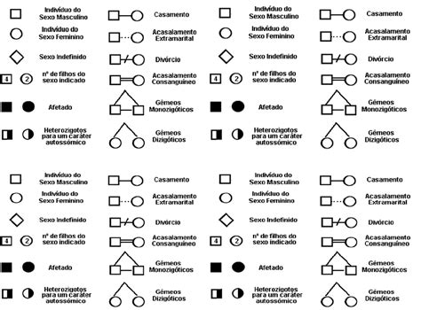 Heredograma Genética Humana