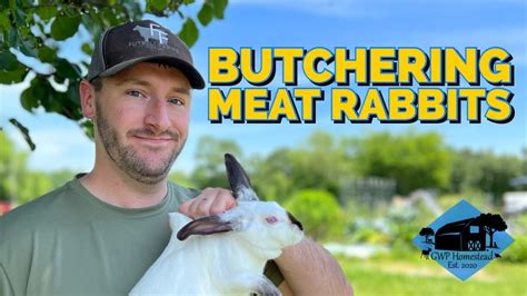 Butchering Meat Rabbits With Sageandstonehomestead Youtube