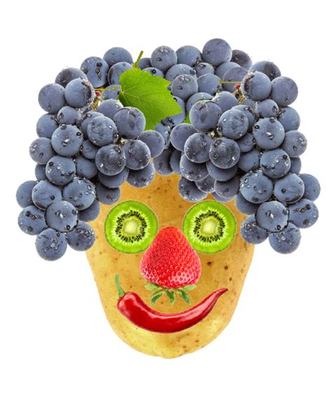 Regarde Le Joli Portrait En Fruits Et Légumes Que Jai Fait Avec L