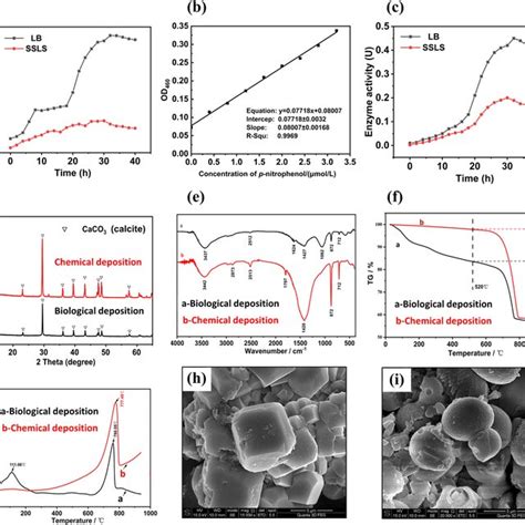 Microbial Growth Characteristics And Comparison Between Microbially And