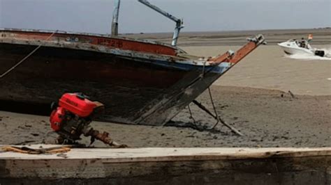 Bsf At The Rann Of Kutch The Times Of India