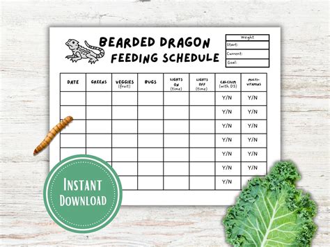 Weekly Bearded Dragon Feeding Chart Etsy