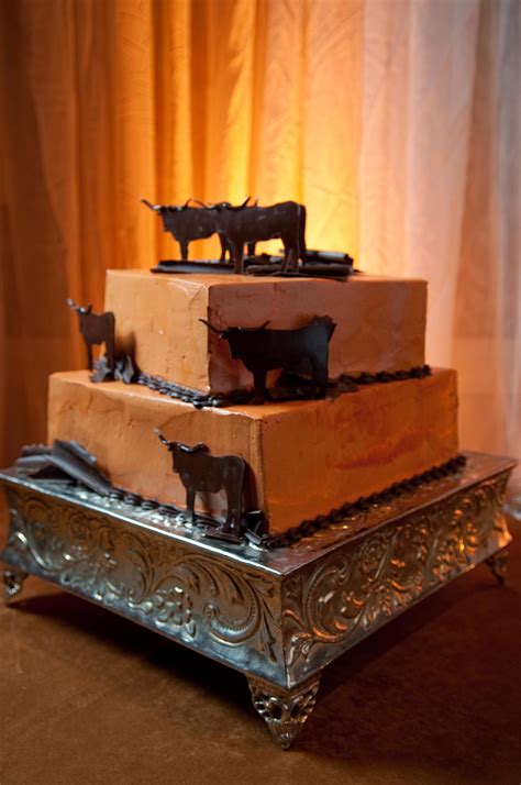 Longhorn Cattle Grooms Cake