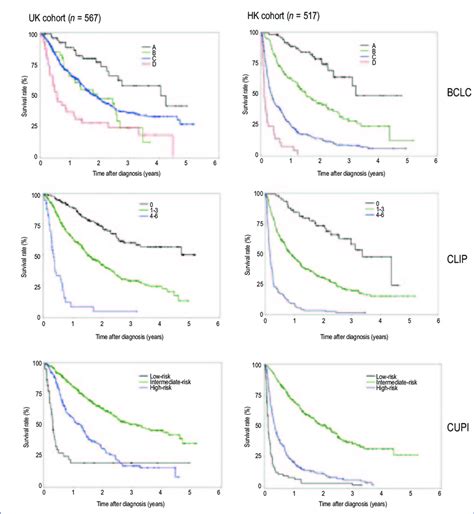 Kaplan Meier Survival Curves Of Patients With Hepatocellular Carcinoma