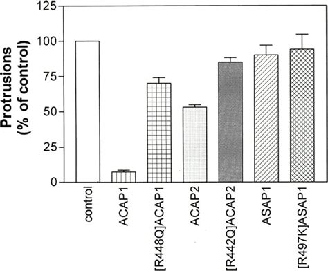 Quantitation Of The Effect Of ACAPs On Arf6 Dependent Formation Of