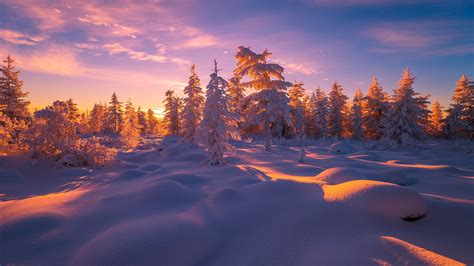 Winter Landscapes Photos