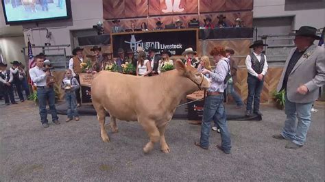 2024 Houston Rodeo Sets New Records For Attendance Auction Sales