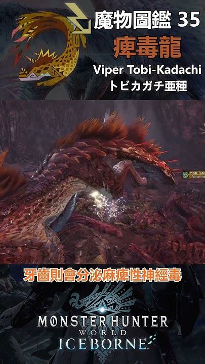 魔物圖鑑 35 痺毒龍 Mhw 魔物獵人 魔物獵人世界 魔物獵人世界冰原 Youtube