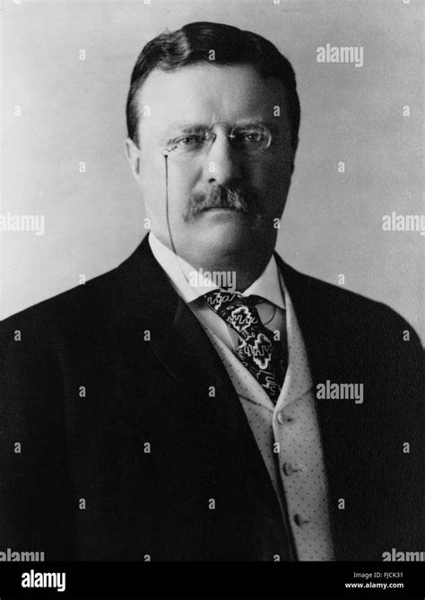 Il Presidente degli Stati Uniti Theodore Roosevelt, ventiseiesimo ...