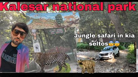 Jungle Safari In Kia Seltos At Kalesar National Park Yamunanagar