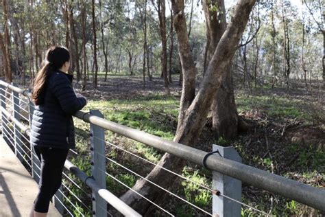 Winton Wetlands A Wetlands Restoration Project Of National Significance