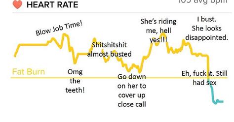 The Truth Behind The Fitbit Graph Of Sex Imgur