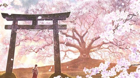 Anime Sakura Wallpapers Top Free Anime Sakura Backgrounds