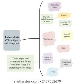 Tuberculosis Tb Signs Symptoms Stock Illustration 2457552679 | Shutterstock