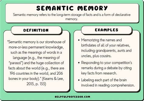 15 Semantic Memory Examples (2025)