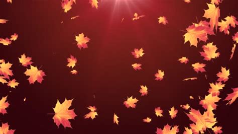 Animated Falling Leaves Background