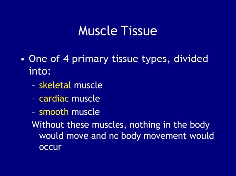 SOLUTION: 10 muscle tissue structure and functions - Studypool