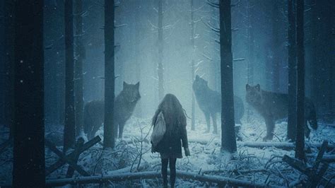 Review Misha And The Wolves By Erika Johnson Cinechat