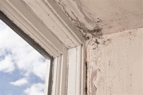 How To Treat Wet Rot And Dry Rot In 2022 Easy Diy Guide